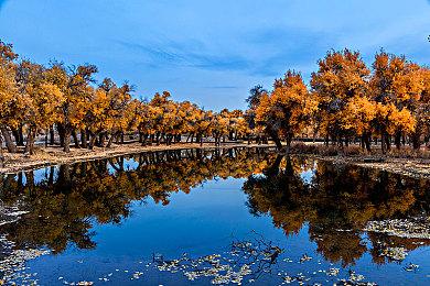 《月姬格斗：TYPE LUMINA》新实机演示 暴走爱尔奎特VS轧间红摩